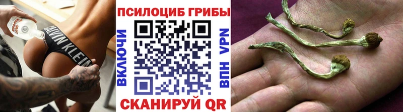 Галлюциногенные грибы ЛСД  закладка  Пласт 